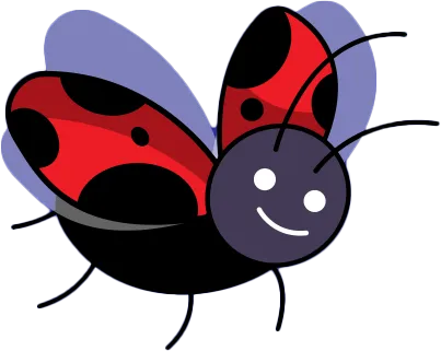 Bug
