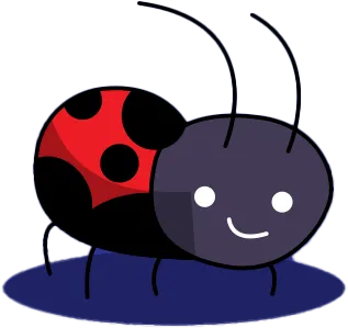 Bug