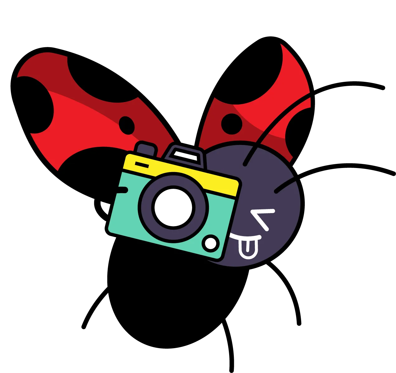 Bug